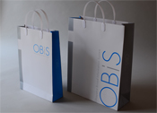 �h�s�f�U�C����Ɓ@OBIS �I�[�r�X�@�r�W���A���A�C�f���e�B�e�B�@�f�U�C��
